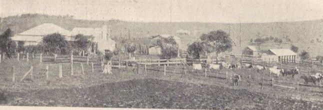 mill_view_elliott